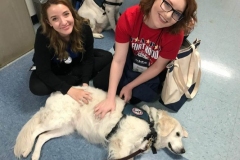 53909750_10216048503377862_3576500407901356032_n